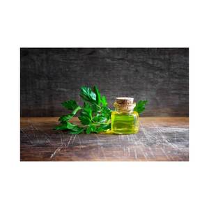 Meilleur prix pour 100% huile de persil de qualité thérapeutique biologique pure pour l'utilisation de l'huile de support de beauté - Product Image 5