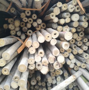 Bâtons de support de plantes en bambou de haute qualité pour une utilisation agricole fabriqués à partir de matières premières en bambou - Product Image 5