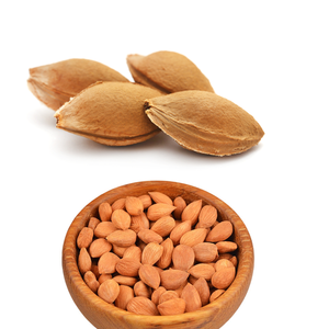 <b>Apricot</b> <b>Kernel</b> | Natural and Fragrant Ingredient for Creams - Product Image 4