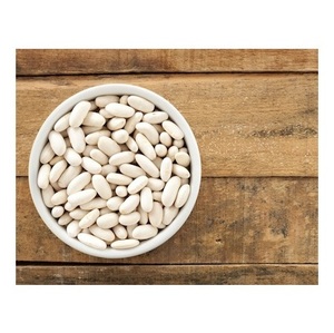 Proveedor Mayorista De Stock Fresco A Granel De Frijoles Blancos Secos Orgánicos - Product Image 5