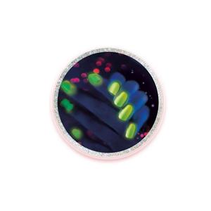 64471 scienza e gioco-laboratorio unghie + 8 anni