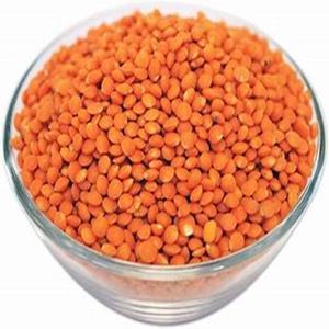 Lentilles rouges entières biologiques saines et pures disponibles à la vente au prix d'usine - Product Image 2