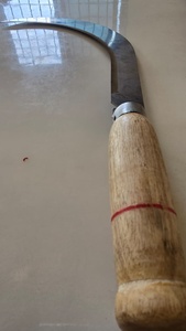 Faucille à dents de scie en acier au carbone à lame de 11 pouces, manche en plastique, denture légère, oxyde noir, outil agricole, récolte, vente chaude - Product Image 3