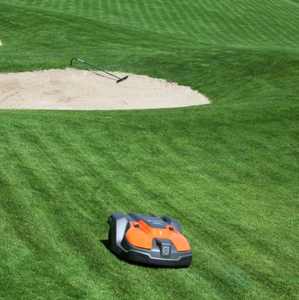 Cortacésped de gasolina robótico modelo 500 125cc con función de 4 tiempos y control remoto de rueda para cortar césped a la venta - Product Image 2