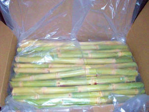 Saveur sucrée juteuse de canne à sucre congelée du Vietnam, parfaite pour le magasin de jus de l'usine de boissons et la distribution mondiale - Product Image 3