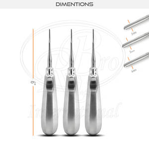 Juego de Elevadores Dentales Caninos de Acero Inoxidable con Estuche de Cremallera, Puntas de 2mm, 3mm, 4mm, 6 Pulgadas, Instrumento Quirúrgico Reutilizable para Odontología de Animales Pequeños - Product Image 2