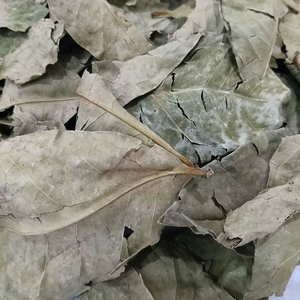 Bayleaf, - Product Image 1