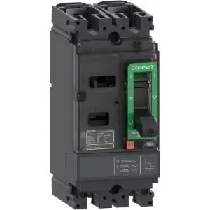Interruttore Automatico Schneider Electric C10F2TM020 per Protezione di Trasformatori/Generatori/Installazioni - Product Image 1