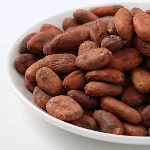 Fournisseur authentique vendant des fèves de cacao 100% biologiques purs et secs fermentés de qualité exceptionnelle pour les acheteurs en gros - Product Image 3