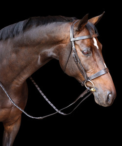 BRIDE DE SNAFFLE - Product Image 2