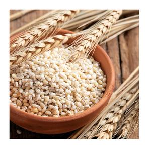 Grains d'orge 100% naturels de qualité pour le malt |   Orge pour l'alimentation animale au meilleur prix de gros - Product Image 2