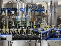 Ligne de production de liquide de machine de remplissage de canettes N260 automatisée 1000-36000CPH