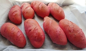 Poudre de fruit du dragon rouge lyophilisée certifiée de marque privée à bas prix pour faire du pain vermicelles origine Vietnam vente en gros - Product Image 3