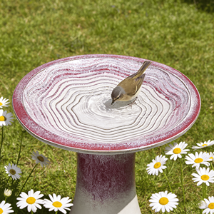 Bain d'oiseaux en céramique Mdj, rond, D16.93in H18.11in, rose ombré moderne, pour extérieur, intérieur, jardin, maison, léger, écologique - Product Image 5