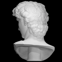 Buste de David Michel-Ange |   Sculpture Renaissance 3D |   Michel-Ange |   Décoration d'intérieur moderne et exposition d'art en plein air | H_Q PLA