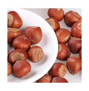 Avellanas blanqueadas de calidad de sabor natural BARATO DE ALTA CALIDAD/Avellanas orgánicas HAZEL KERNEL a la venta al mejor precio - Product Image 3