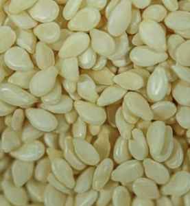 Semilla de sésamo Sésamo blanco natural Buena calidad disponible para exportación - Product Image 6