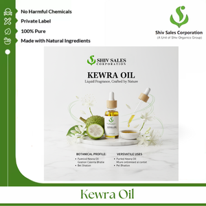 Huile florale pure de Kewra pour la production de parfums de qualité industrielle et l'approvisionnement B2B dans plusieurs secteurs - Product Image 3