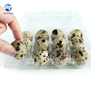 12 holes clear plastic egg cartons plastic quail egg tray blister packaging factory direct export sale