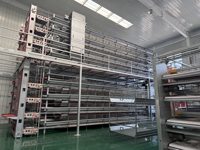 Système de cages à poulets en H pour élevage en batterie, équipement avicole automatique, fabricant et fournisseur en gros