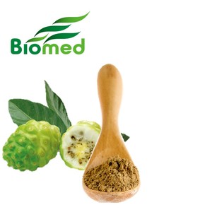 Noni Fruit Extract Powder Dietary Supplement Plant Based Wellness Ingredient OEM - Product Image 1