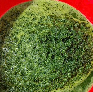 ใบมันสำปะหลังแช่แข็งจากเวียดนาม | คุณภาพที่เหนือกว่ามีความยืดหยุ่นส่งตรงจากผู้ผลิต | เหมาะสำหรับทำอาหาร - Product Image 6