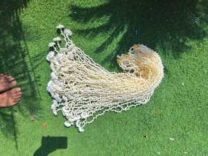 Rajnigandha (tuberosa) y guirnaldas de flores rosas para bodas indias Haldi Mehndi escenario telones de fondo Festival Diwali y decoración de fiesta Eid - Product Image 2