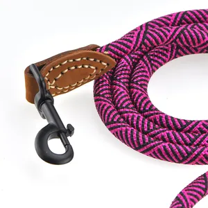 Cá nhân hoá tùy chỉnh bện Polyester leo dây thừng tái chế thân thiện với môi ngoài trời an toàn đi bộ kim loại móc Pet Dog Leash Rope
