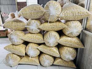 Aperitivo crujiente de patatas fritas de plátano, plátano seco en rodajas, patatas fritas de plátano secas VF sin azúcar, precio competitivo, patatas fritas de plátano secas - Product Image 2