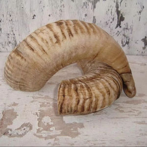 Kudu ฮอร์น shofar ธรรมชาติทำด้วยมือสำหรับเป่าและวัตถุประสงค์ทางศาสนา Kosher shofar polishedagate - Product Image 1