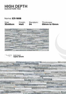 Carreaux muraux en porcelaine de 300x600 mm, série extérieure - Product Image 4