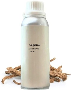 100% น้ำมันราก Angelica บริสุทธิ์และเป็นธรรมชาติ - Product Image 6