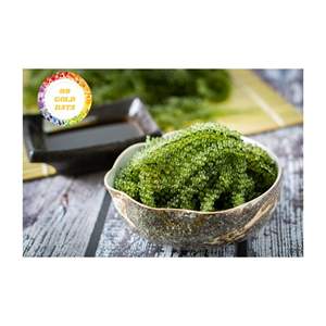 Exportador de uvas marinas de Vietnam que suministra algas de caviar verde fresco de primera calidad para ensaladas de estilo de vida saludable y industria de restaurantes finos - Product Image 4