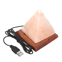 Premium-Qualität Benutzerdefiniertes Logo Himalaya-Salzlampe Tahir Gems TG-60 Einzigartiges Wunderschön Geschnitztes Design Natürliche Handwerkskunst für Feiertage