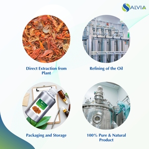 100% Huile essentielle de macis pure et naturelle en vrac en gros avec emballage personnalisé à bas prix - Product Image 4