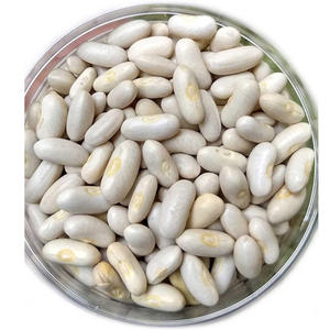 ถั่วขาวคุณภาพสูงสุดจากธรรมชาติ ขายส่งเกรดพรีเมียม สำหรับการส่งออก ถั่วขาวขนาดใหญ่คุณภาพสูง - Product Image 6