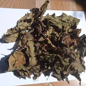 HOJAS DE PERILLA SECAS PARA MEZCLAS DE TÉ SALUDABLES Y APLICACIONES ALIMENTARIAS - Product Image 4