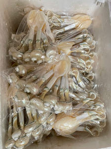 Élégante assiette décorative vietnamienne en nacre, fabriquée à partir de vraies coquillages, reflétant l'artisanat et le style artistiques - Caryln - Product Image 5