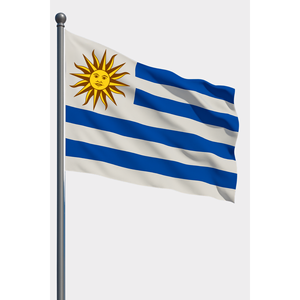 Drapeau d'extérieur Uruguay avec logo personnalisé imprimé sur soie et plastique, mât en aluminium, techniques d'impression numérique - Product Image 1