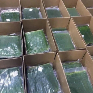 Norme d'exportation de feuilles de bananier séchées et fraîches au meilleur prix pour le papier à usage alimentaire pour le stockage congelé - Product Image 5