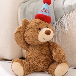 Orsacchiotto di Peluche Personalizzato Aika OEM per Compleanni, Pupazzo in Cotone PP ad Alta Resilienza, Prodotto da Fabbrica per Eventi - Product Image 4