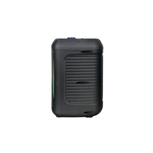 Lecteur de karaoké sans fil stéréo Netzy SAFG-D907 8 pouces avec écran LED numérique, radio FM, microphone, RGB TWS - Product Image 1