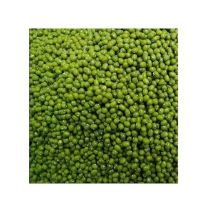 Frijoles Mung Verdes / Frijoles Vigna Mung de Primera Calidad, Frijoles Mung Naturales Convencionales Verdes - Product Image 1