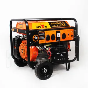 BISON Cheap high quality 220v 2KW gasoline petrol electric generators for sale