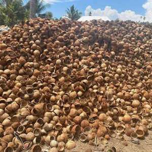 Fibres de coquille de noix de coco broyées de haute qualité, déchets agricoles, coquille brute en vrac, charbon de bois sans fumée du Vietnam, briquettes pour usage industriel - Product Image 2