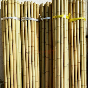 Bambú de alta calidad para artesanía hecho a mano para valla - Product Image 5