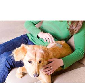 Herramientas de aseo para mascotas de uso diario de acero inoxidable \ peines de pulgas profesionales al por mayor para perros y gatos con mango de madera - Product Image 4