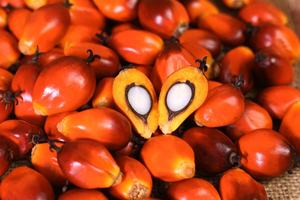 Meilleure huile de palme rouge non raffinée 100% naturelle et standard d'exportation - Product Image 6