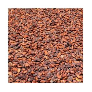 Granos de Cacao Criollo Holandeses, Origen Alemania, Grado Superior, Especificaciones Personalizadas, Bolsas de 20 kg, Proveedores y Fabricantes - Product Image 4