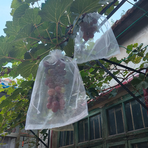 Sacs de <span class=keywords><strong>protection</strong></span> pour plantes avec cordon de serrage 8x12 pour <span class=keywords><strong>fruits</strong></span>, figues, fleurs, <span class=keywords><strong>protection</strong></span> <span class=keywords><strong>contre</strong></span> les <span class=keywords><strong>oiseaux</strong></span> et les insectes, jardinage, agriculture - Product Image 6